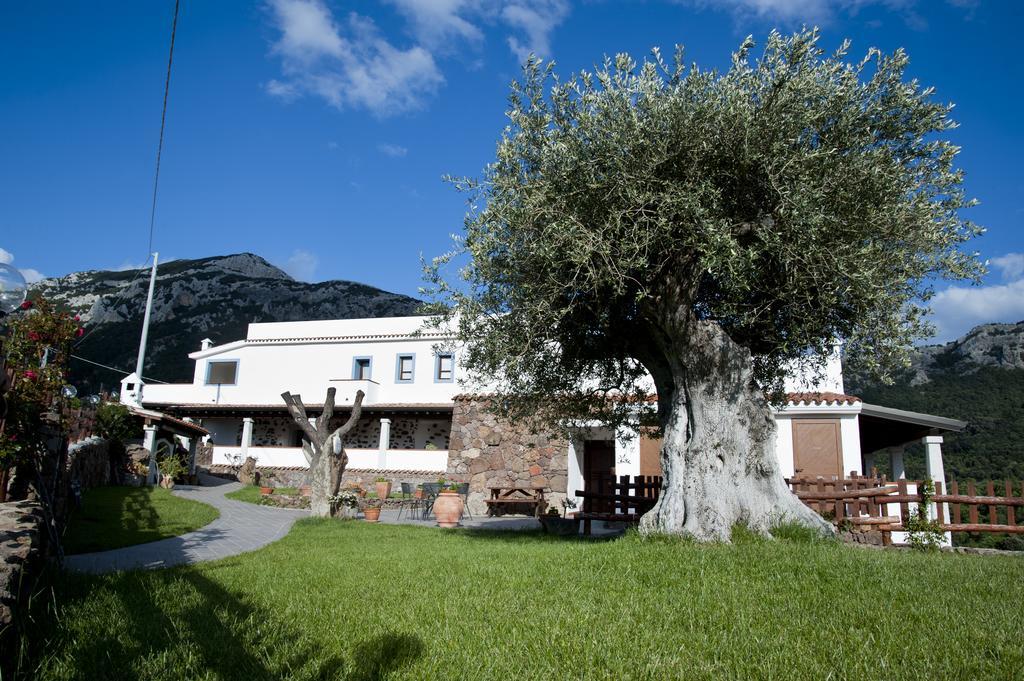 Turismo Rurale Belvedere Pradonos Hotel Dorgali Buitenkant foto