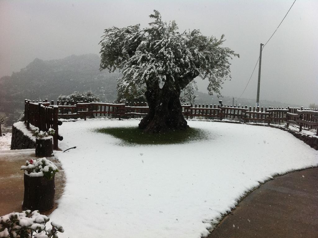 Turismo Rurale Belvedere Pradonos Hotel Dorgali Buitenkant foto